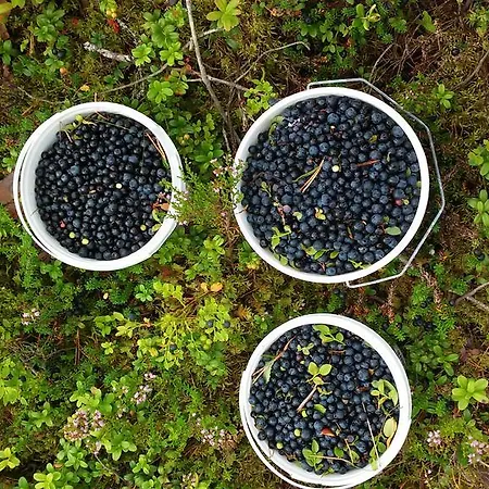 Holiday home Rentola *