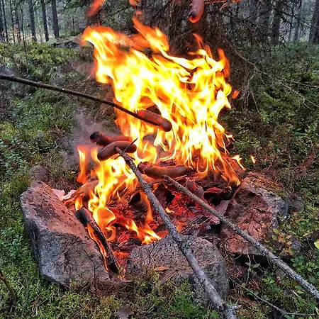 Holiday home Rentola *