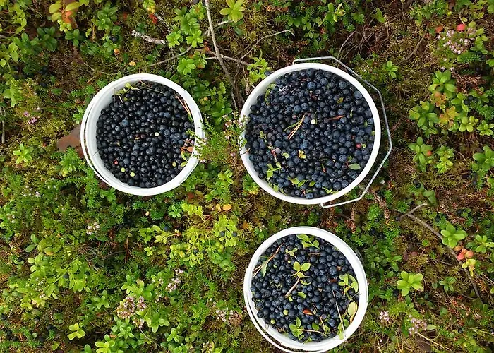 Ferienhaus Rentola *